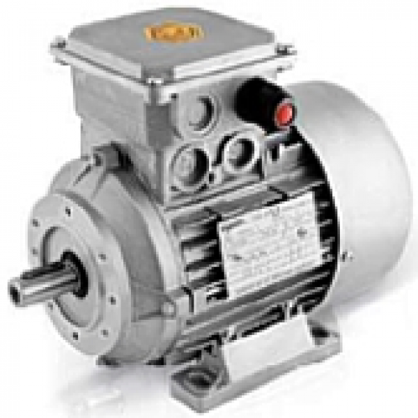 ATEX EX e Drehstrommotor