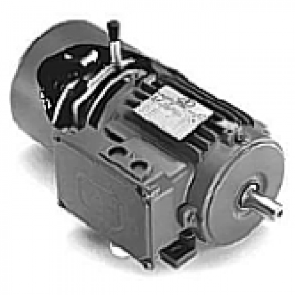 High Torque Bremsmotor IEC